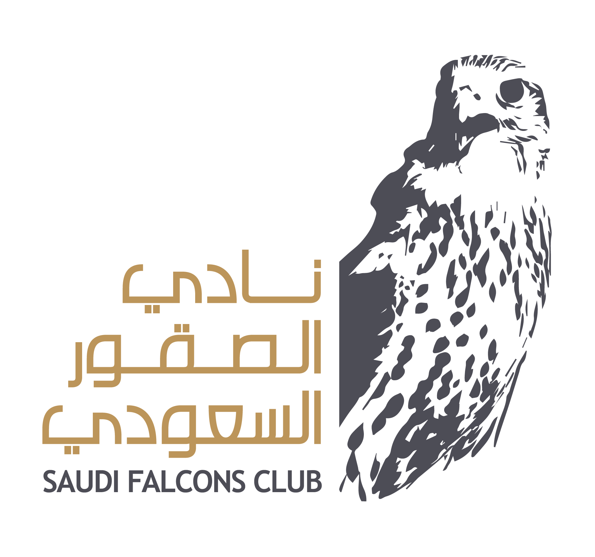 Clients 15 saudi falcons club